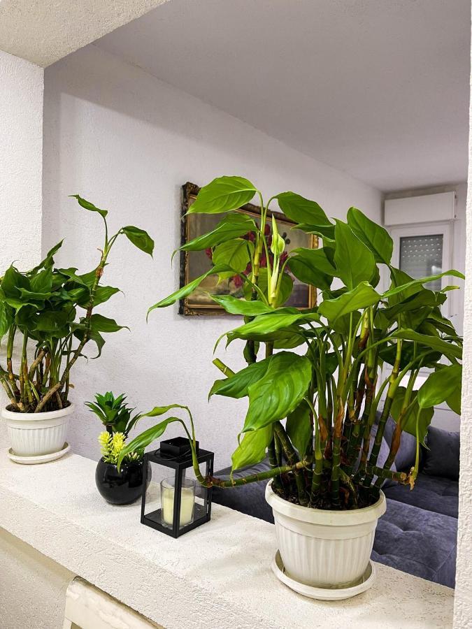 Apartment Tatjana ครากูเยวัตส์ ภายนอก รูปภาพ