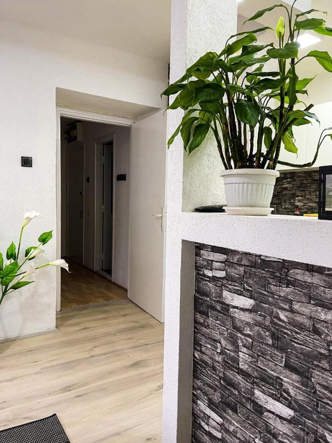Apartment Tatjana ครากูเยวัตส์ ภายนอก รูปภาพ