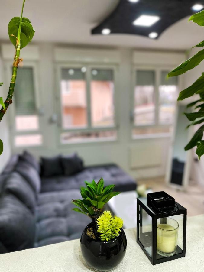 Apartment Tatjana ครากูเยวัตส์ ภายนอก รูปภาพ