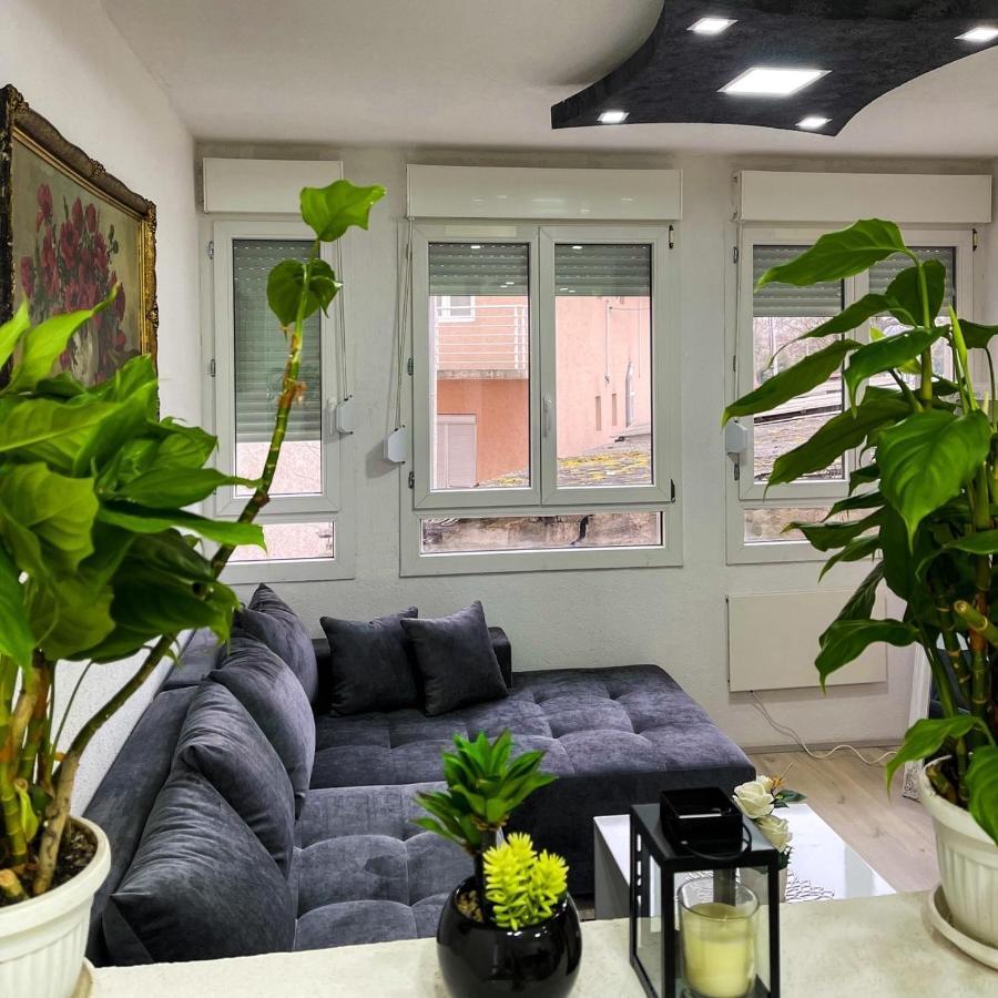 Apartment Tatjana ครากูเยวัตส์ ภายนอก รูปภาพ